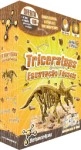 Escavacao Fosseis - Triceratops