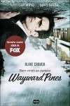Wayward Pines - Paraiso