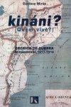 Kinani Cronicas De Guerra Mocambique