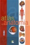 Anatomia
