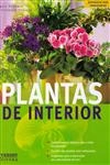 Plantas De Interior