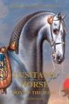 Lusitano Horse Son Of The Wind