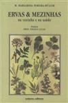 Ervas E Mezinhas Na Cozinha E Na Saude