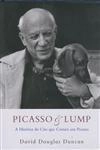 Picasso E Lump