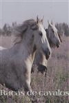 Racas De Cavalos