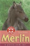 Merlin O Potro Sem Lar