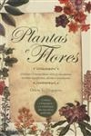 Plantas E Flores