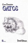 Como Desenhar Gatos