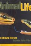 Animal Life An Intimate Jorney Into The Animal World
