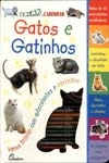 Gatos E Gatinhos