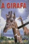 Girafa, A