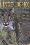 Lince Iberico