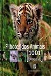 Filhotes Dos Animais 1001 Fotografias