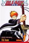 Bleach Vol1 - Strawberry And The Soul Reapers