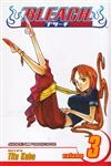 Bleach Vol3 - Memories In The Rain