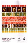 Vidas Plurais Estrategias De Integracao De Imigrantes Africanos Em Portugal
