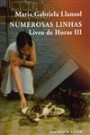 Numerosas Linhas Livro De Horas Iii