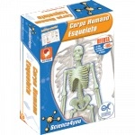 Corpo Humano Esqueleto