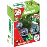 Meus Primeiros Cristais, Os - Bonsai