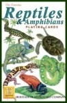 The Famous Reptiles And Amphibians Playing Cards