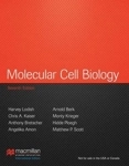 Molecular Cell Biology International Edition (hardcover)